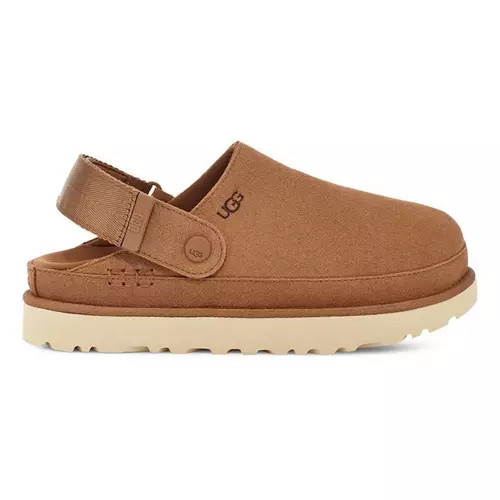 Women's UGG Goldenstar Clogs | Scheels Sports