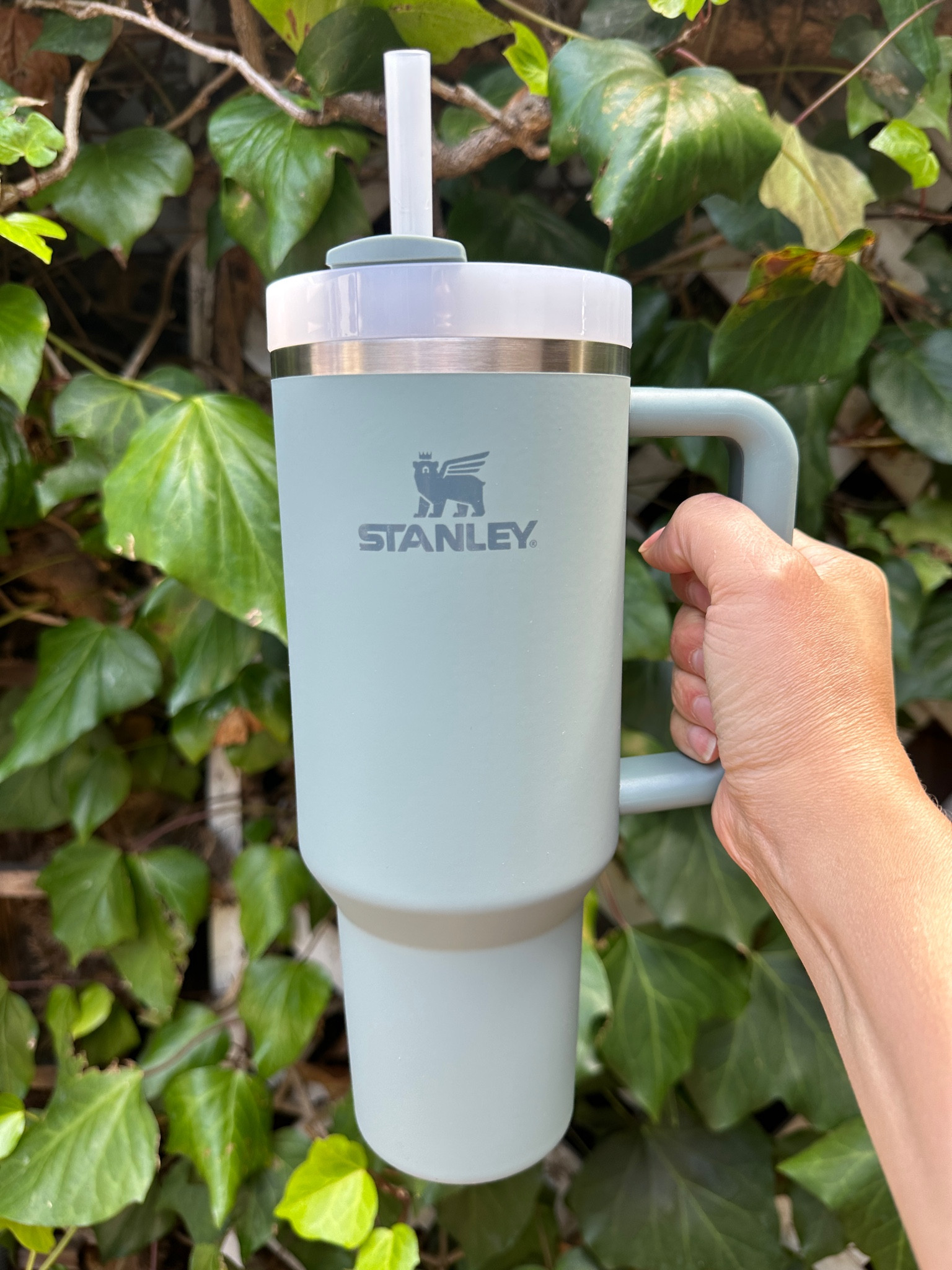 40oz Stanley matte tumbler 

#LTKtravel #LTKfitness #LTKhome