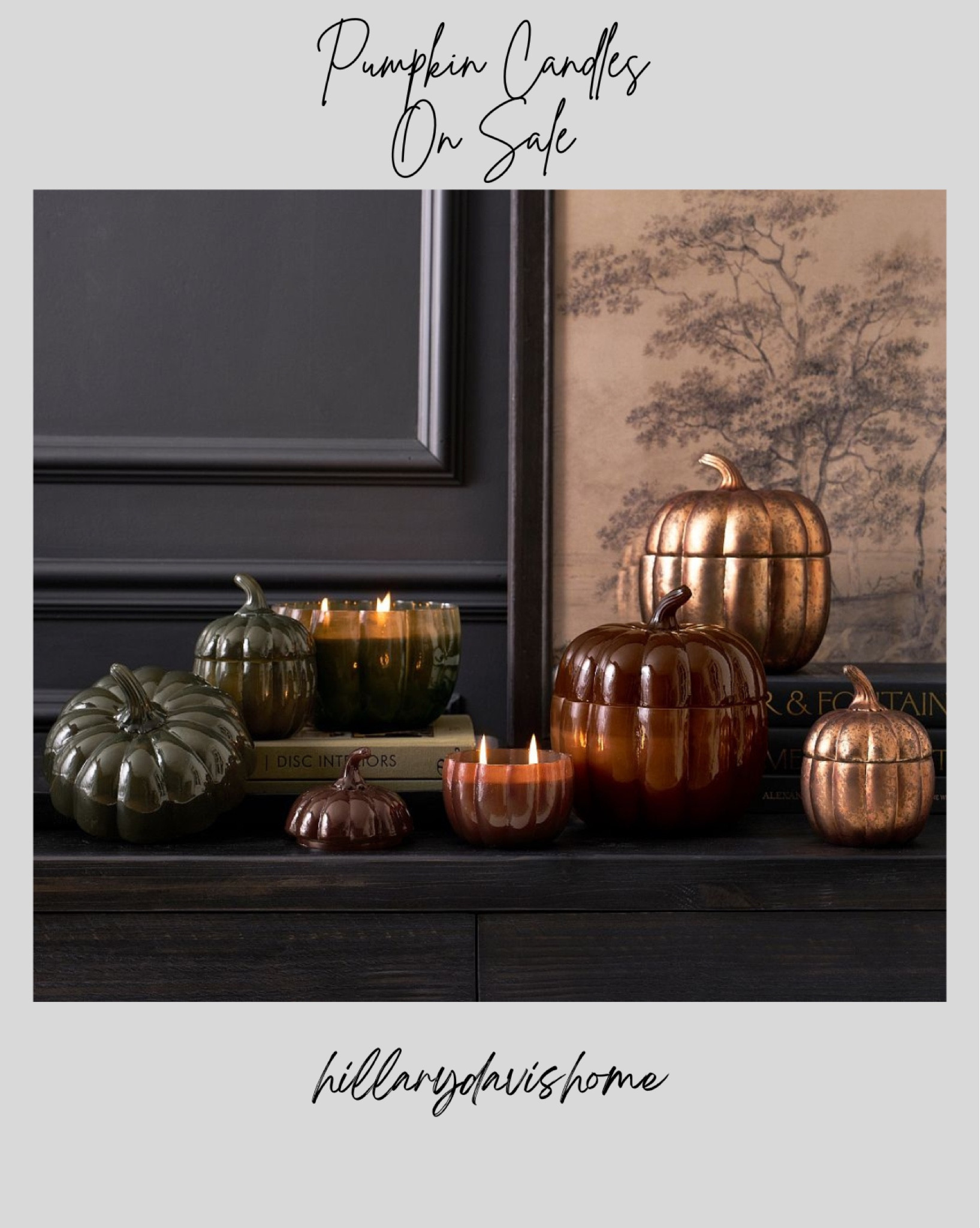 My favorite pumpkin candles are on sale for a limited time! These are so fun to style with. Place on top of books, on the kitchen counter or island or any place that needs a fall touch 🎃🍂🍁

Pottery Barn | PB Fall | Pumpkin Candles | 

#LTKSeasonal #LTKFindsUnder100 #LTKFindsUnder50