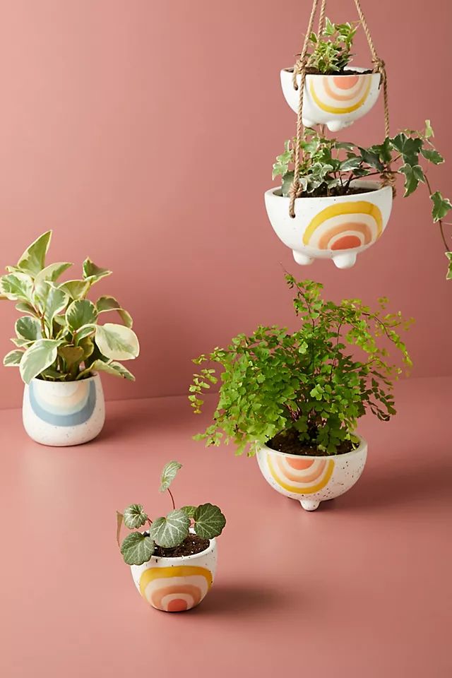 Iris Rainbow Pot | Anthropologie (US)