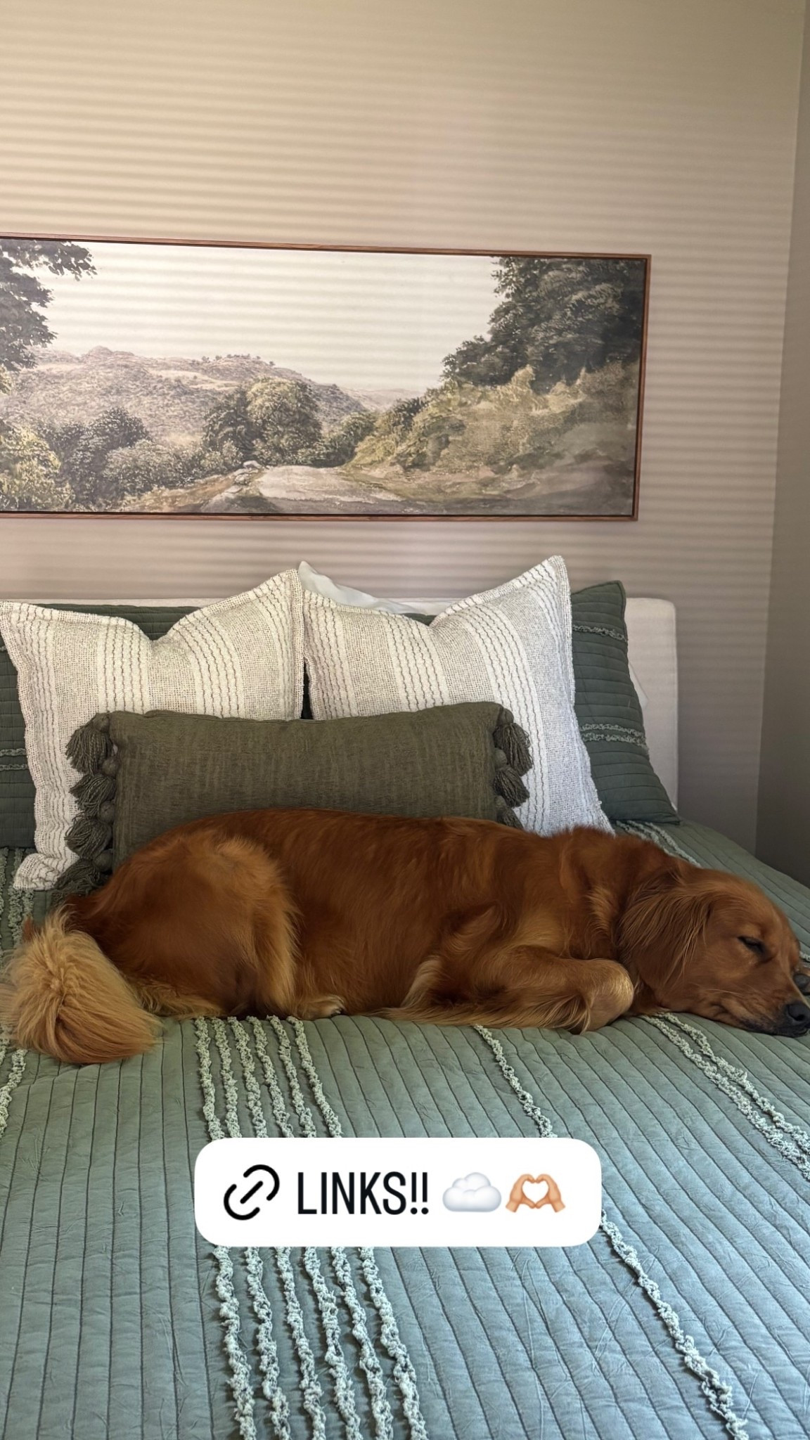 cozy bed from dream cloud 

#LTKPets #LTKFamily #LTKHome