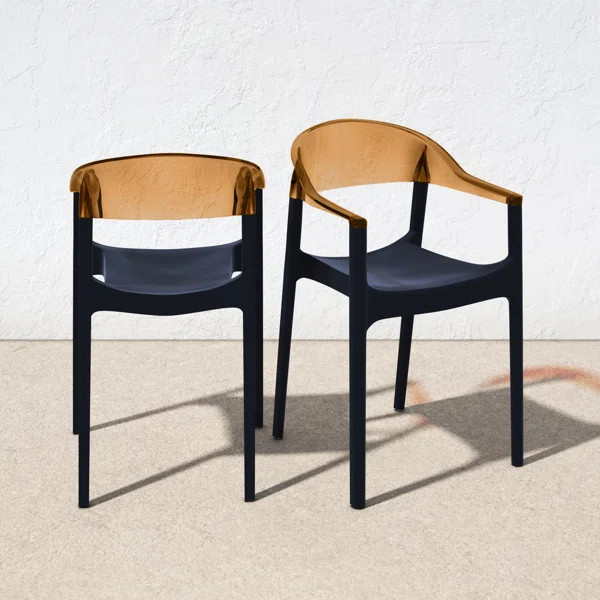 Anner Patio Dining Chair (Set of 2) | Wayfair North America