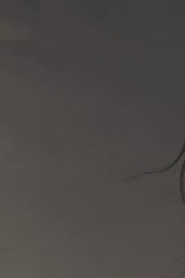 Cutout Hearts Blouse | Anthropologie (US)