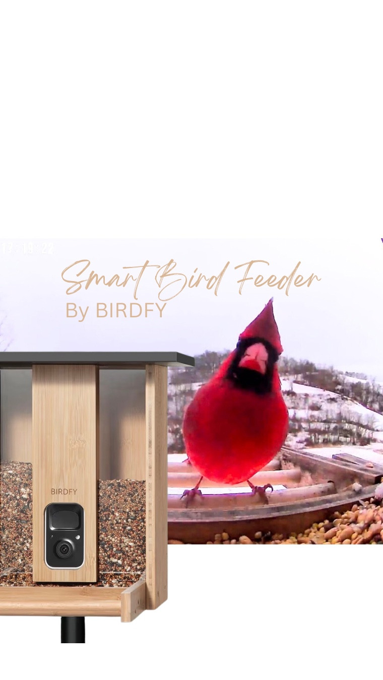 Midlife me didn’t expect to be this excited about a bird feeder… but here we are 🐦

These days I truly appreciate the quieter joys — slow mornings, coffee in hand, and noticing the little things. This solar-powered bird feeder with a camera lets me watch my feathered visitors right from my phone with clear 2K video. No cords, easy setup, and it even identifies the birds (which is surprisingly fun).

Midlife isn’t boring — it’s intentional, peaceful, and full of simple pleasures like this.

#MidlifeLiving
#Over50Lifestyle
#SimpleJoys
#QuietMoments
#IntentionalLife