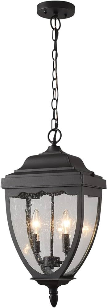 Outdoor Pendant Light Exterior Hanging Lantern, 2-Light Outdoor Hanging Porch Light, Matte Black ... | Amazon (US)