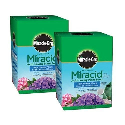 Scotts Company Miracle-Gro 1750011 Water Soluble Miracid Acid-Loving Plant Food, 1-Pound (2) | Amazon (US)