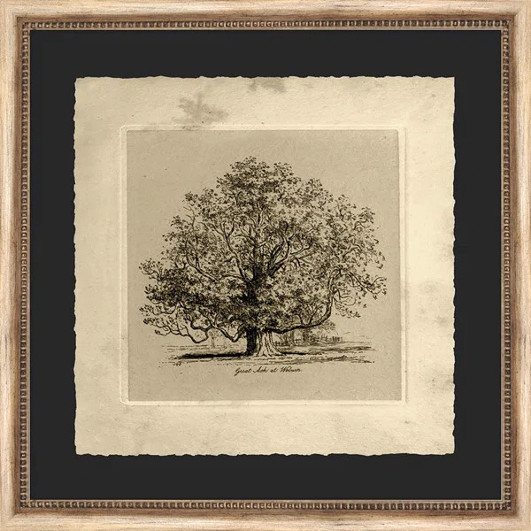 Great Ash At Woburn Painting | Perigold