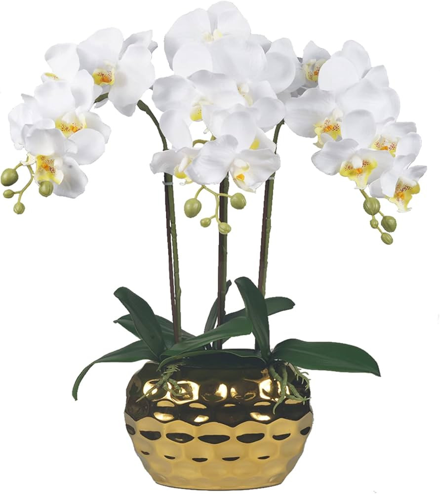 W&W Artificial Orchid Plants & Flowers Arrangement in Ceramic Pot, Fake Faux White Orchid with Go... | Amazon (US)