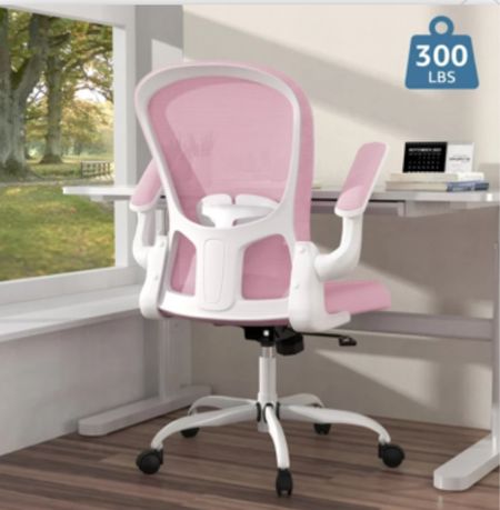 Ergonomic Office Chair, Comfort Home Office Task Chair, Lumbar Support Computer Chair with Flip-up Arms and Adjustable Height(Pink)
Now $119.98
(You save $279.00)

#LTKhome #LTKGiftGuide #LTKsalealert