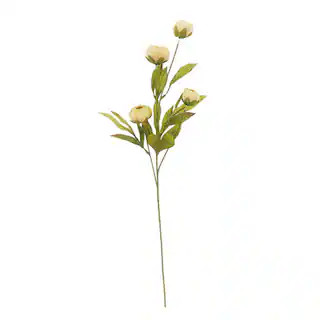 Tan Peony Stem by Ashland® | Michaels Stores