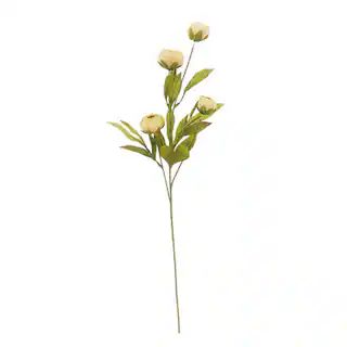 Tan Peony Stem by Ashland® | Floral Stems | Michaels | Michaels Stores