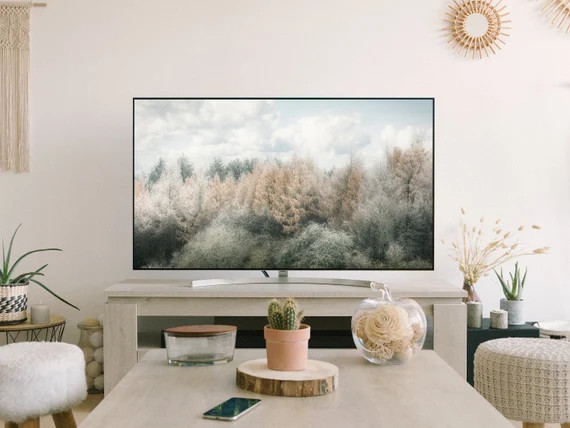 Samsung Frame TV Art Winter Forest Frame TV Snowy Trees | Etsy | Etsy (US)
