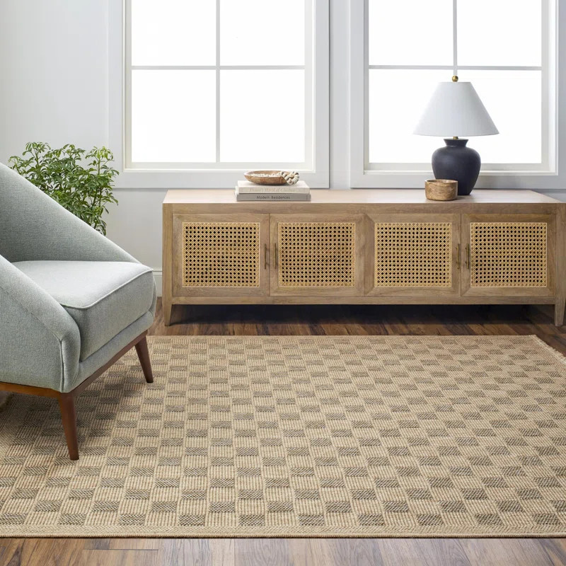 Abbie Checkered Rug | Wayfair North America