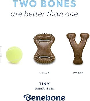 Benebone Puppy 2-Pack Dental Chew/Wishbone Dog Chew Toys, Made in USA, Real Bacon Flavor | Amazon (US)