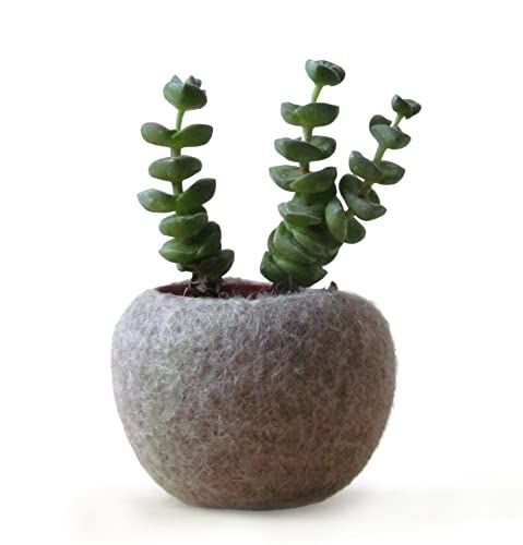 Felt planter/hygge decor/felted bowl/Succulent pod/scandinavian decor/minimalist home decor/air p... | Amazon (US)