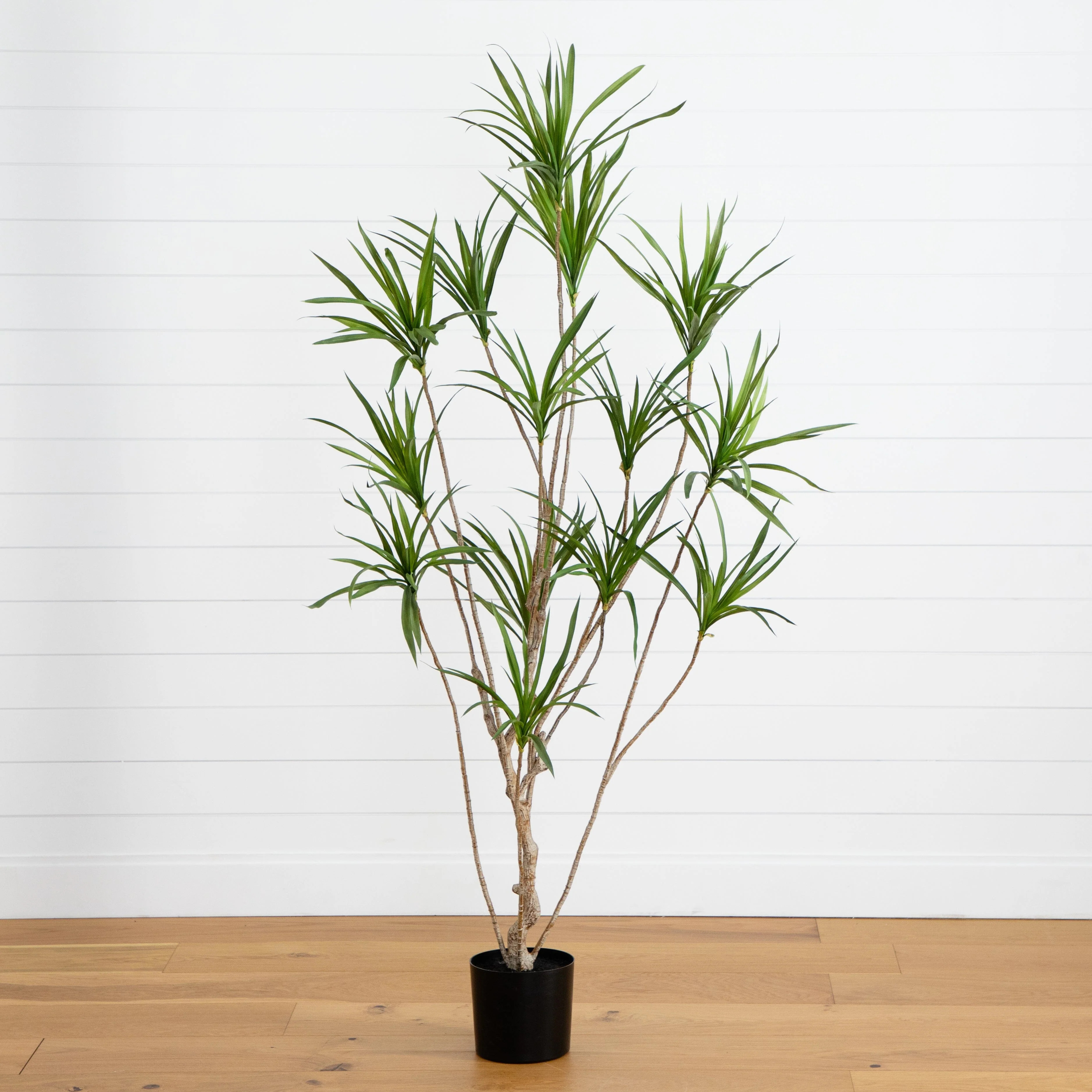 6\u2019 Artificial Dracaena Tree | Nearly Natural | Nearly Natural