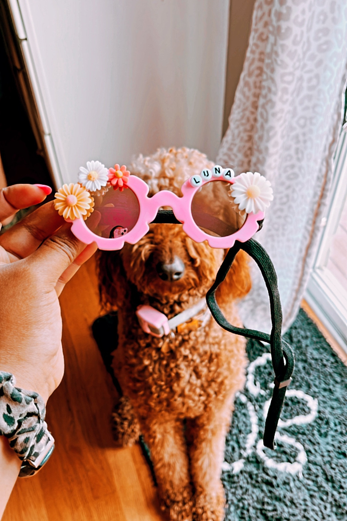 TWO groovy! ✌🏽🌸

can’t believe my little Luna Lou is turning 2 this upcoming Friday! 

we always do a little theme— getting ready to go RETRO and GROOVE the day away 🐶✌🏽🌸



#LTKdogs

#LTKSeasonal #LTKFind