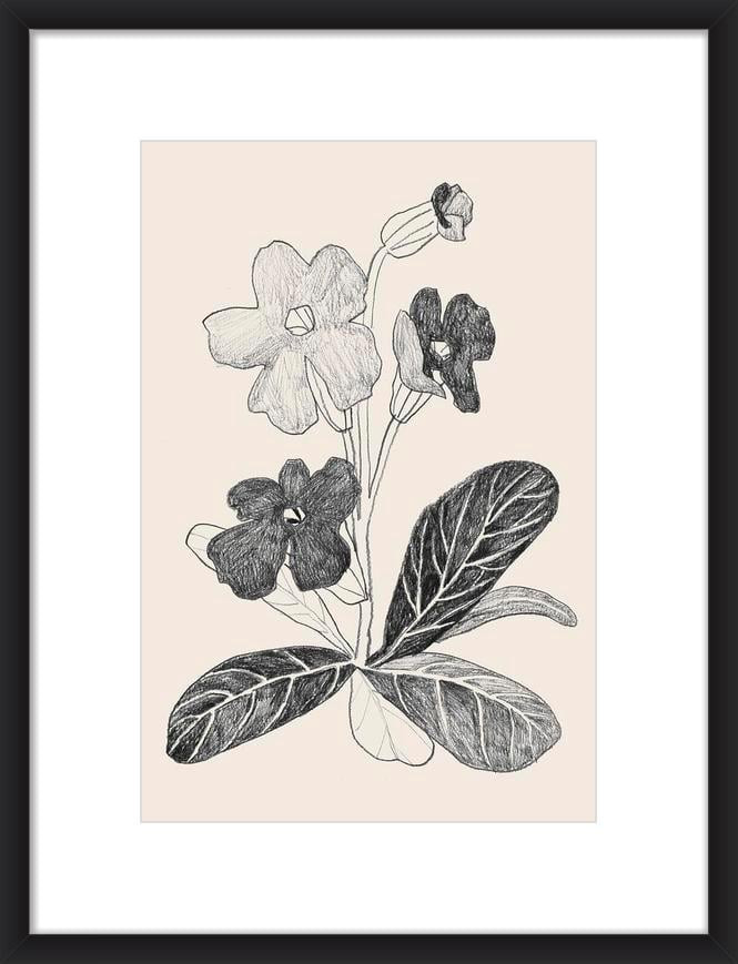 Prime rose in black | Artfully Walls