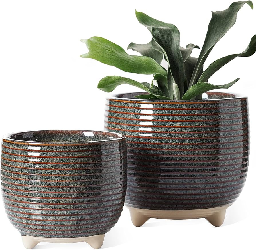 LE TAUCI Ceramic Plant Pots, 5.1 + 6.4 Inch Footed Pots for Plants, Modern Flower Pots for Home a... | Amazon (US)