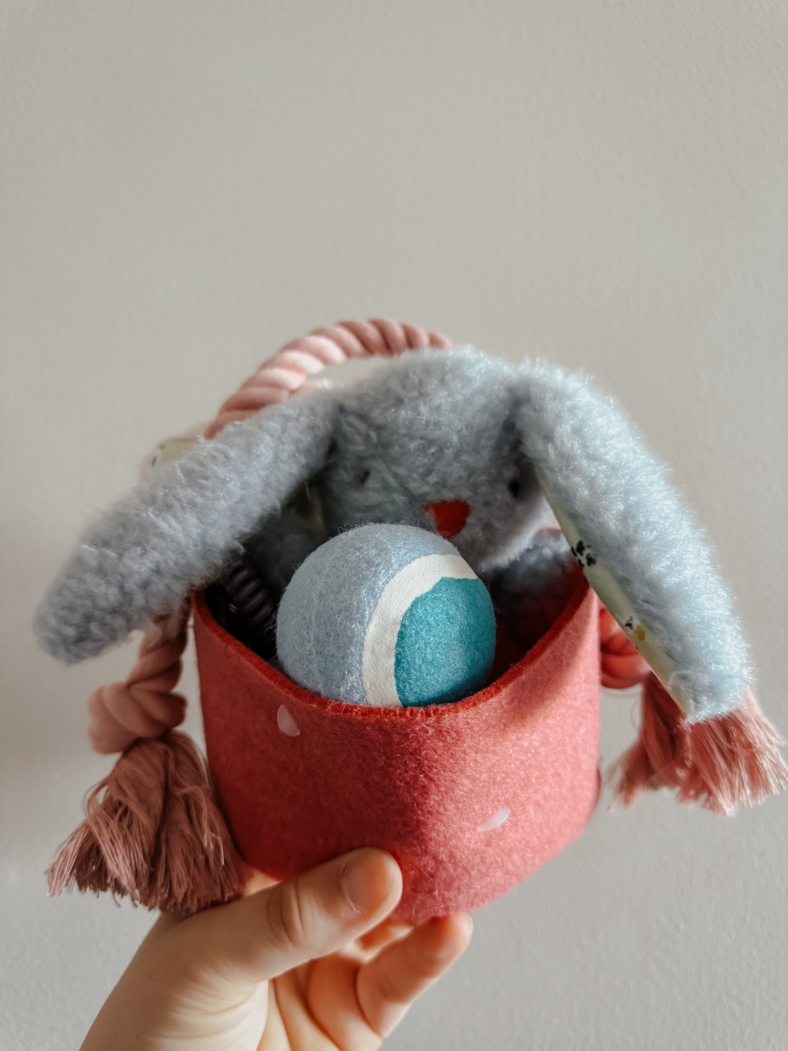 Easter basket for your pup 🐾
+ small & big dog baskets 
+ under $10#LTKPets 

#LTKGiftGuide #LTKSaleAlert