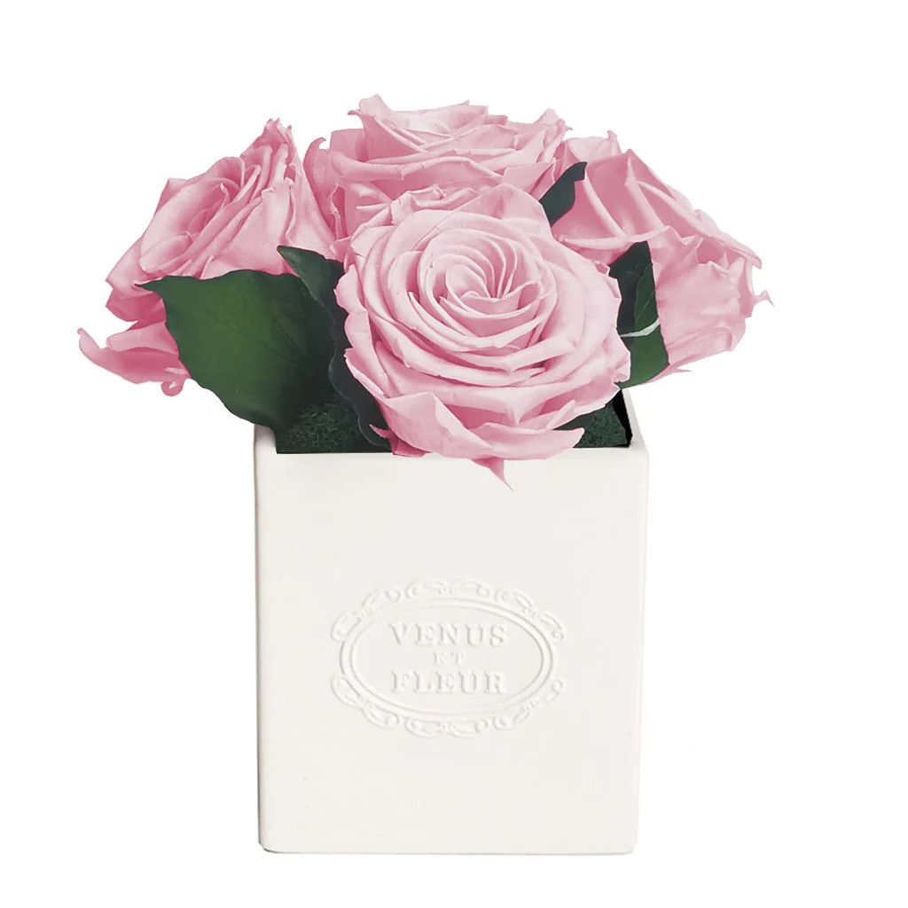 Sylvie Porcelain Vase | Venus ET Fleur