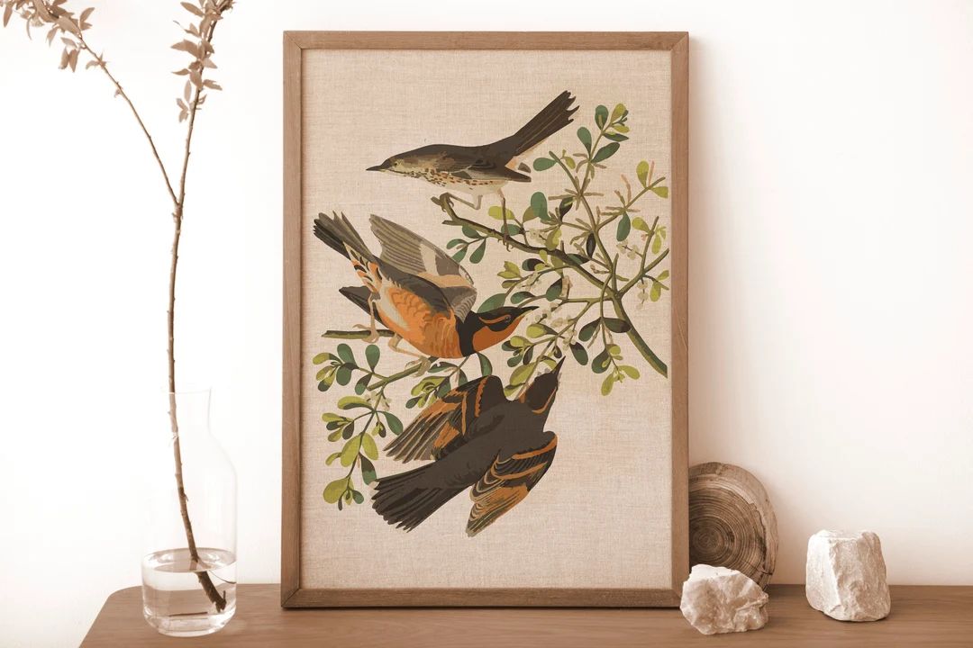 Bird Floral Print, Vintage Bird Art Prints, Bird Lover Gift, Kingfisher Print Set, Vintage Botani... | Etsy (US)