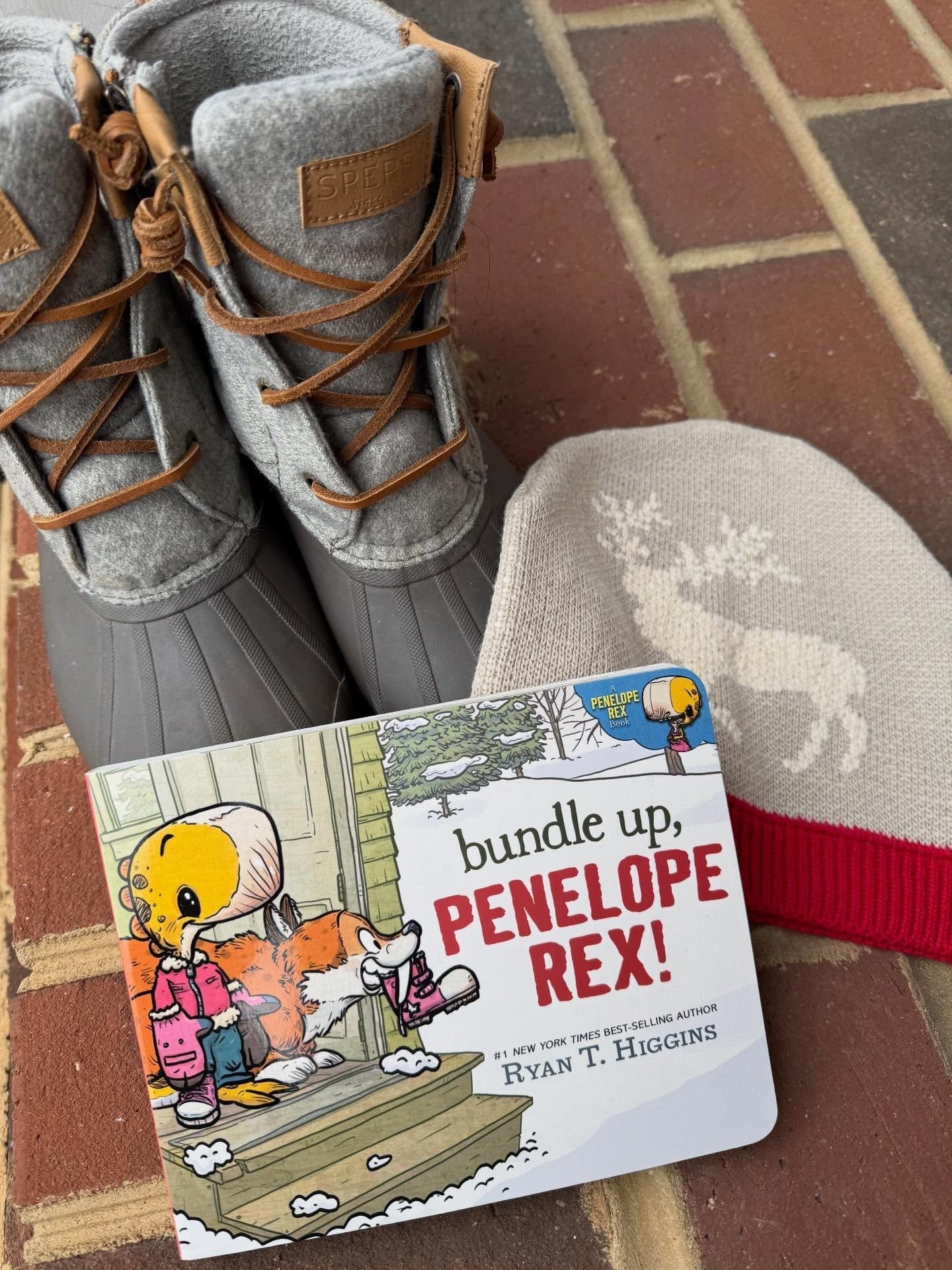 ✨ Book Spotlight ✨
Bundle Up, Penelope Rex! 
📚By: Ryan T. Higgins 

Penelope Rex is ready for snowy fun… but first, her very helpful (and very fuzzy) saber-tooth cat makes sure she’s bundled up just right. 🦖❄️

Such an adorable board book about getting ready for snow days—perfect for little readers who love winter adventures and dinosaurs.

Do you love snow days—or just the idea of them? 

Thank you @tlcbooktours for the #gifted copy! #BookSpotlight #BoardBookLove #KidsBookstagram #PictureBookLove WinterReads