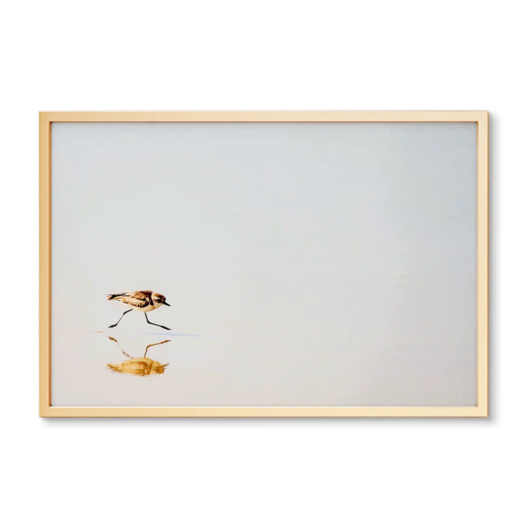 Minimalist Tiny Shorebird | Coastal Photography Wall Art | To The Trade | Urban Garden Prints