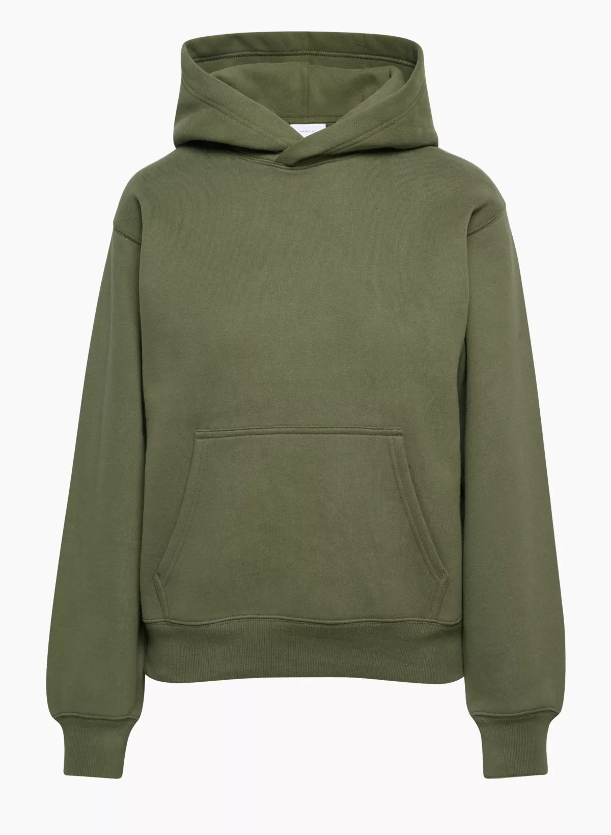 COZY FLEECE PERFECT HOODIE | Aritzia