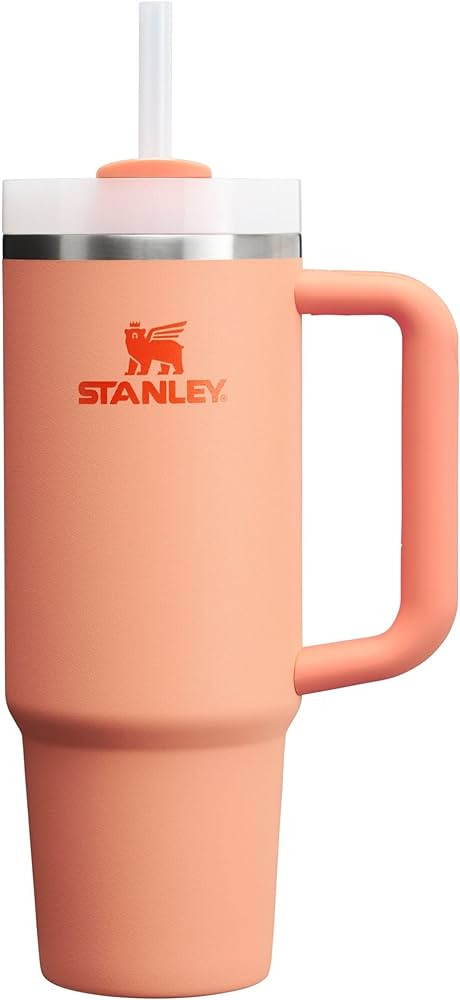 STANLEY Quencher H2.0 FlowState Stainless Steel | Amazon (US)