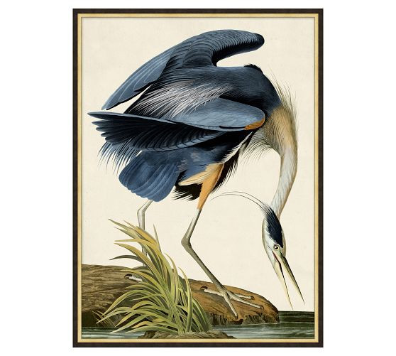 Blue Heron Framed Print | Pottery Barn (US)