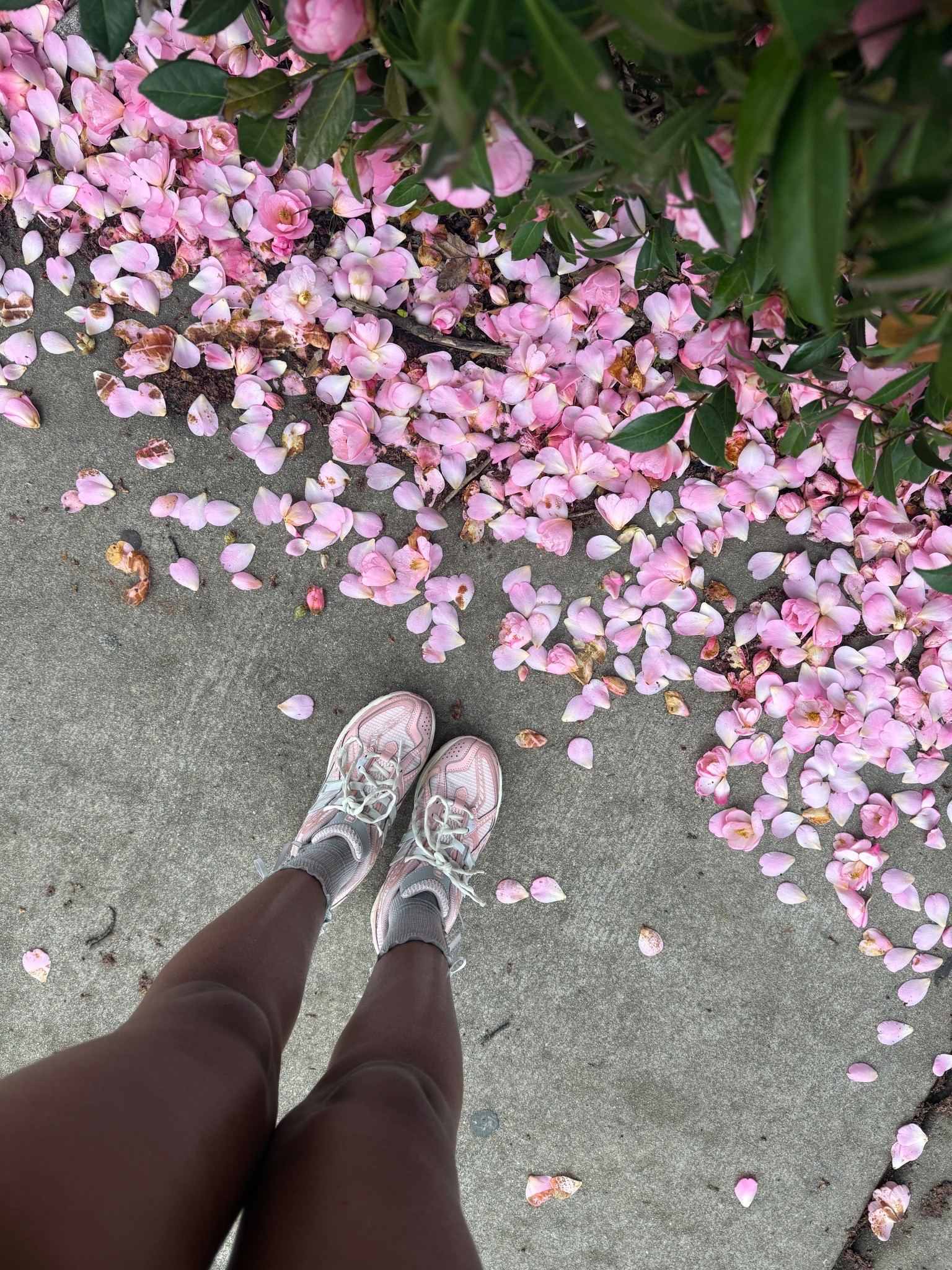 Before the storm 🌪️🌸🩷

#LTKootd #LTKspringtrends #LTKActive