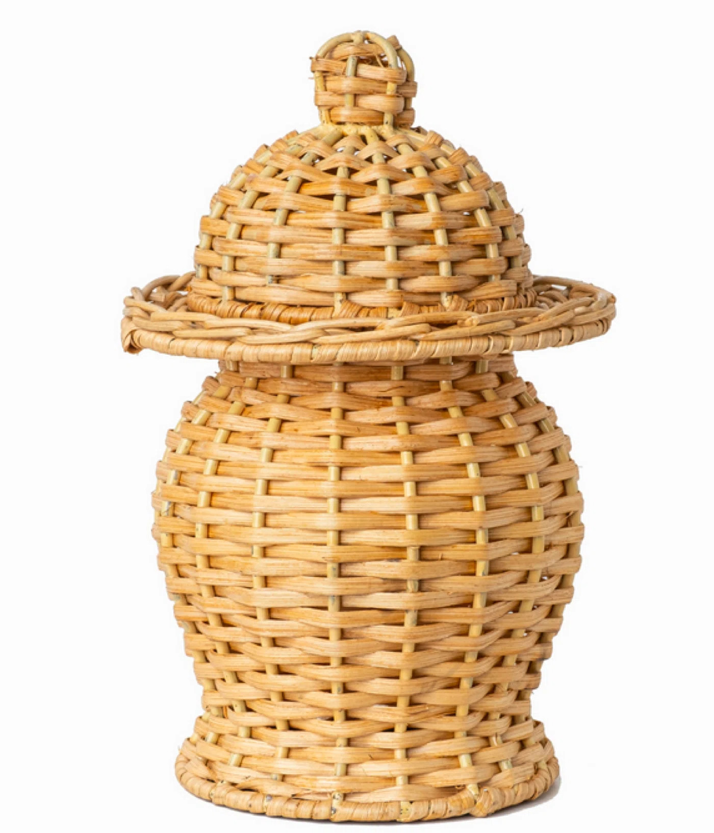 Bay Isle Home™ Draco Ginger Jar | Wayfair | Wayfair North America