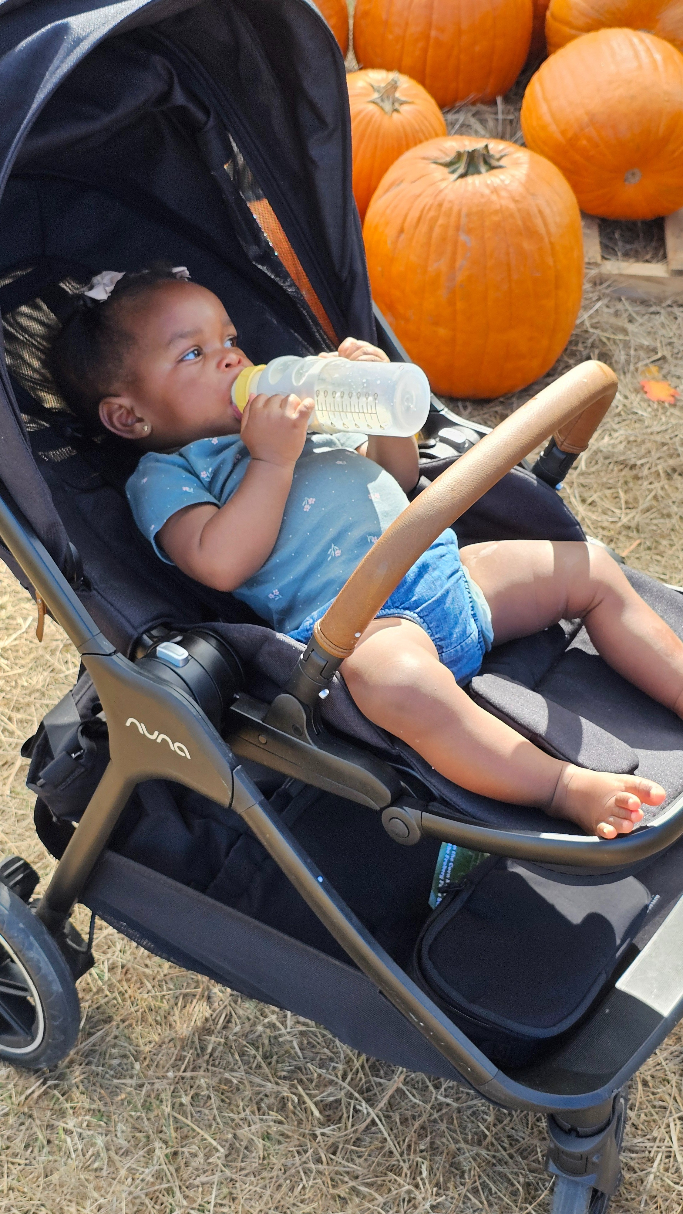 Little miss pumpkin patch is enjoying her visit to the pumpkin patch! I love that this stroller rolls around and reclines so smoothly. I’ve never had a bad Nuna purchase!

#LTKFamily #LTKKids #LTKBaby