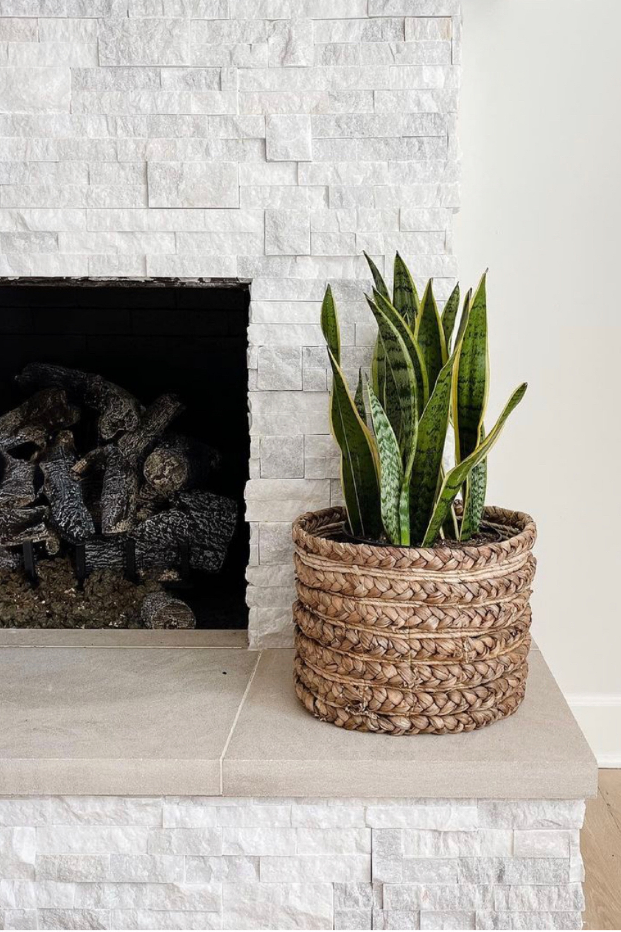 If you don’t have a green thumb (ME!!) be sure to check this site out. ALL my outside plants are from this site and they’re incredible. You can even leave them out all winter and they don’t fade and look like new. Obsessssssed. They’re 30% off with code MUM through tonight’s (5/8/23)

#LTKhome #LTKFind