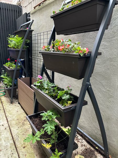 My backyard container garden is in the works! 👩🏻‍🌾🪴🪴🪴

#LTKFindsUnder100 #LTKSeasonal #LTKHome