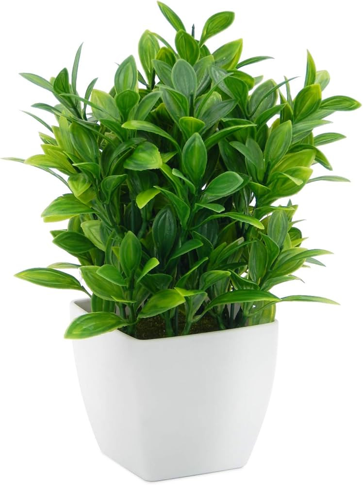 OFFIDIX Artificial Eucalyptus Plants with White Square Vase Small Artificial Tree for Office Desk... | Amazon (US)