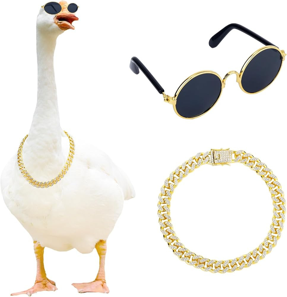 BOXOB Chain Collar and Sunglasses Porch Goose Outfits for 23"/ 17'' Lawn Goose Statue Sunglasses ... | Amazon (US)