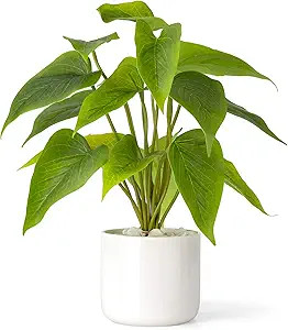 Mkono Fake Plants in Ceramic Pot, 11" Potted Artificial Plants for Home Decor Indoor Faux Green L... | Amazon (US)