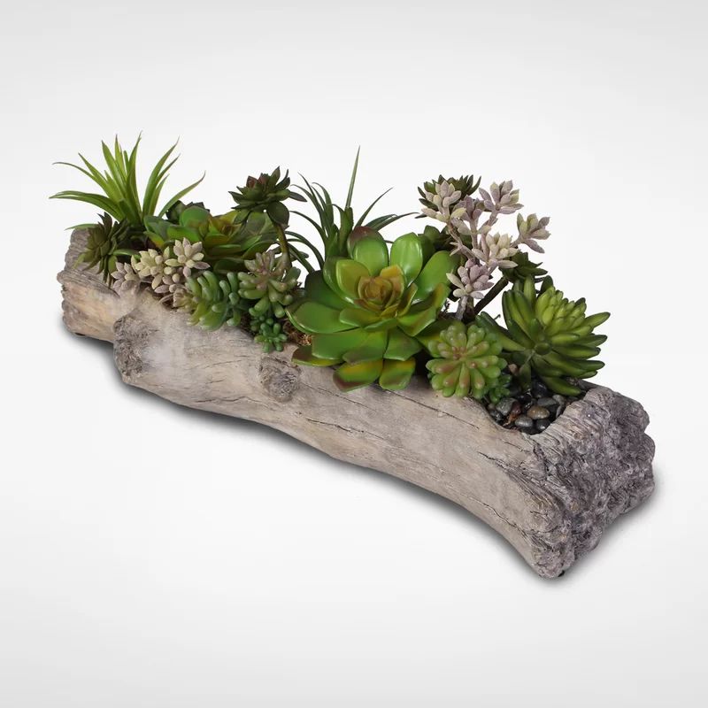 Artificial Desktop Succulents Pot | Wayfair North America