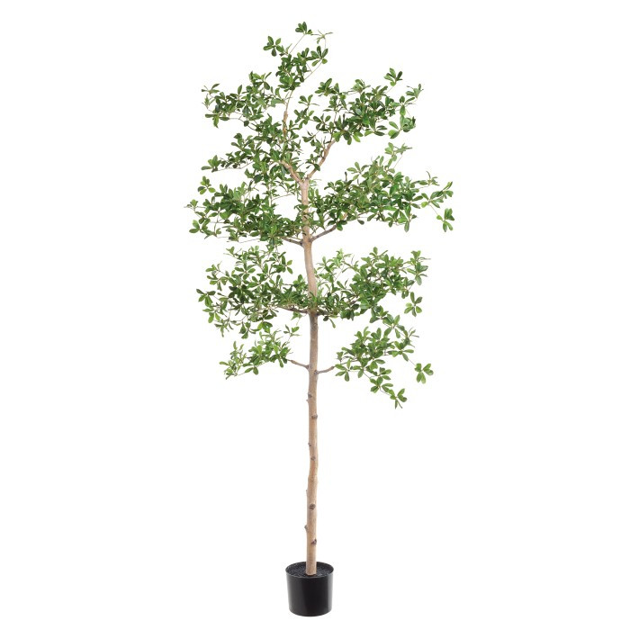 Faux Shady Lady Tree, 6'-9' | Williams-Sonoma