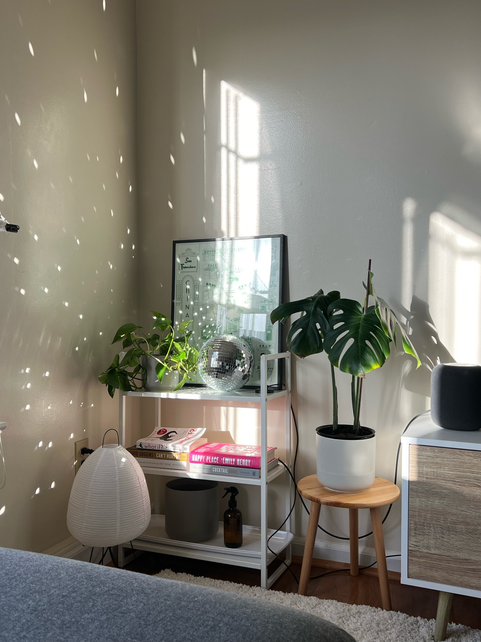 this disco ball from amazon was one of the best purchases i’ve made for my home! 🪩✨

#LTKhome #LTKGiftGuide #LTKsalealert