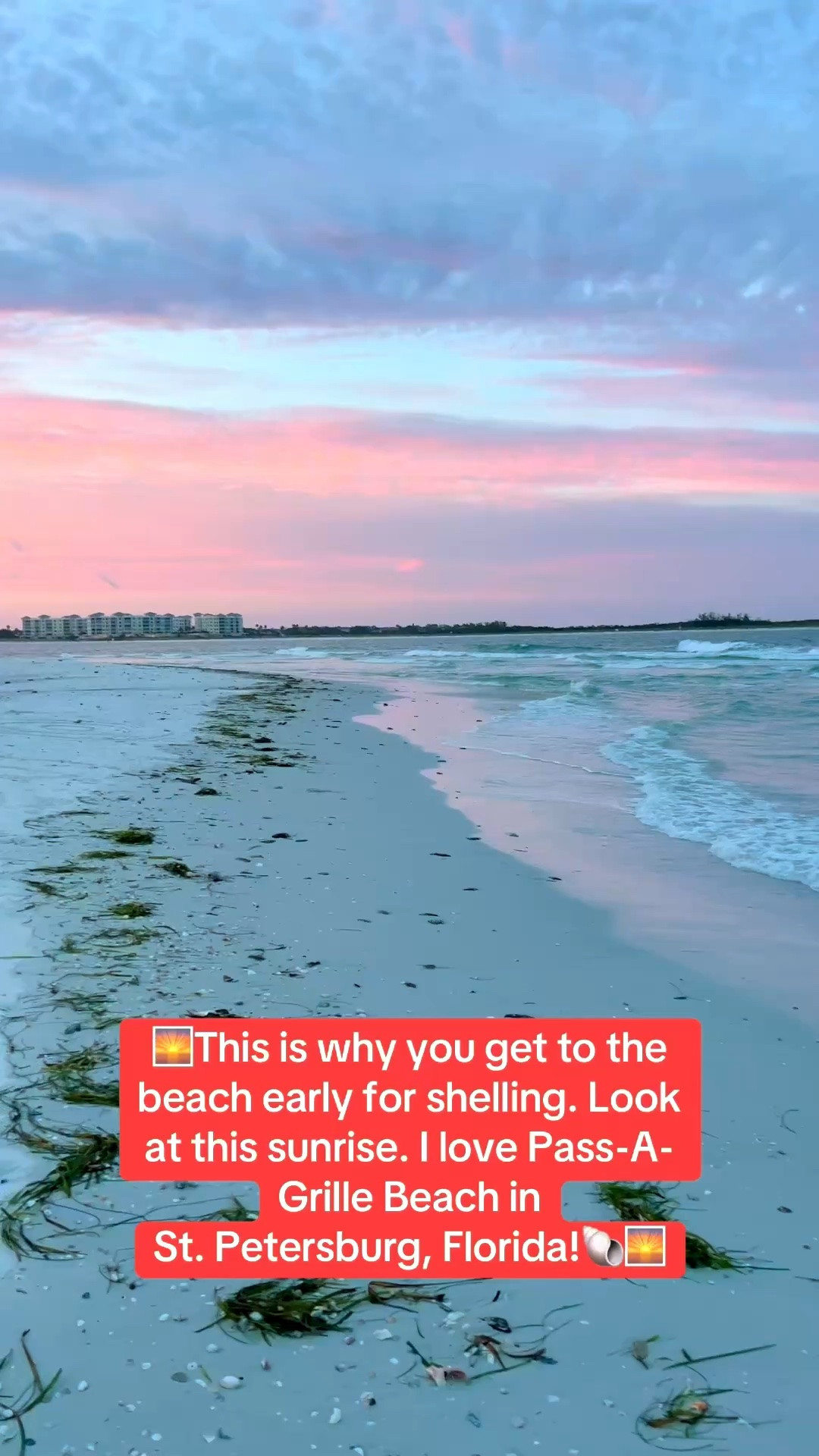 Heading to the beach over Fourth of July? Take these clothes and accessories with you!

#LTKSeasonal #LTKOver40 #LTKSaleAlert #LTKTravel #LTKgrwm #LTKootd #LTKMidsize #LTKSwim #LTKvlog