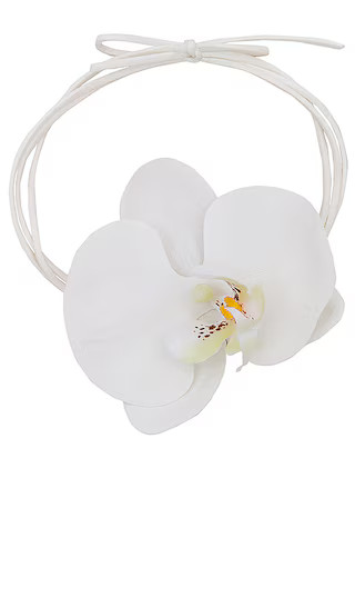 Nanea Wrap Necklace in Ivory | Revolve Clothing (Global)