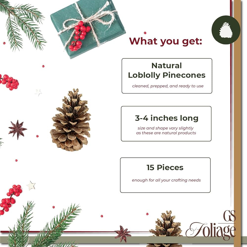 Natural Pine Cones – Set of 15 Small 3"– 4" Real Loblolly Pinecones for Crafts, Mini Pine Con... | Amazon (US)