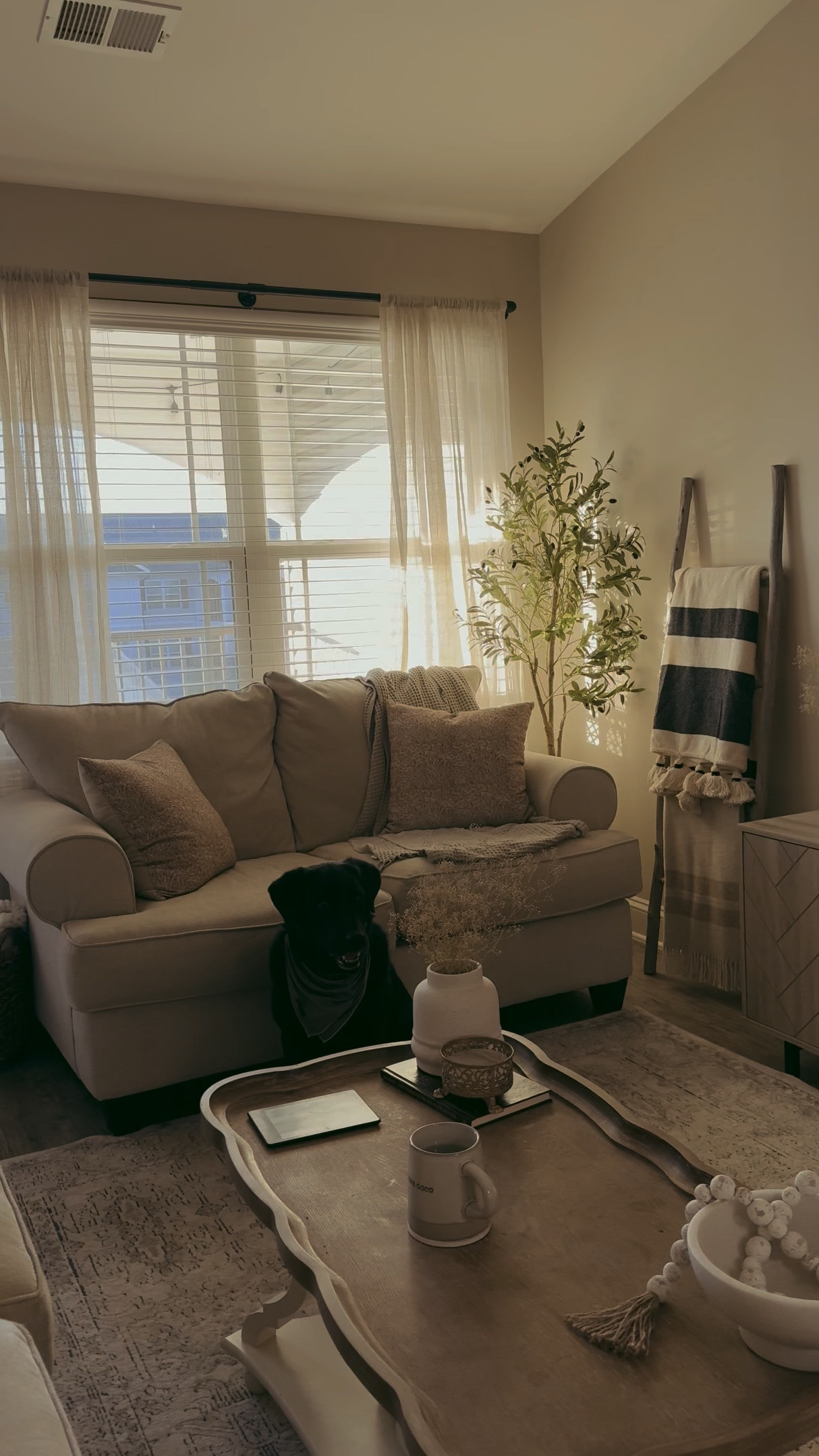 cozy apartment home 🫶🏼

#cozyapartment #apartment
#apartmentdecor #apartmenthome 

#LTKMostLoved #LTKGiftGuide #LTKhome