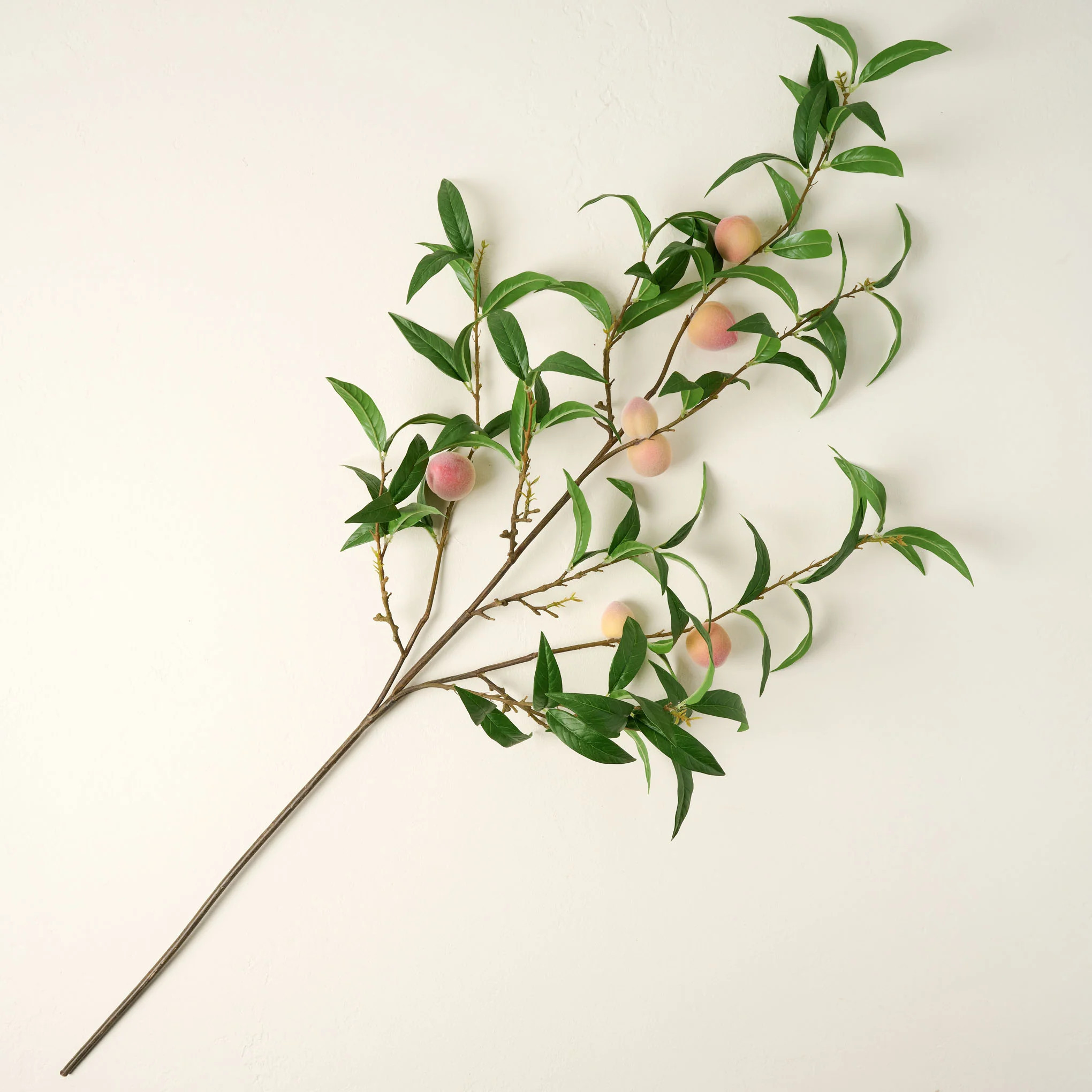 Oversized Peach Stem | Magnolia