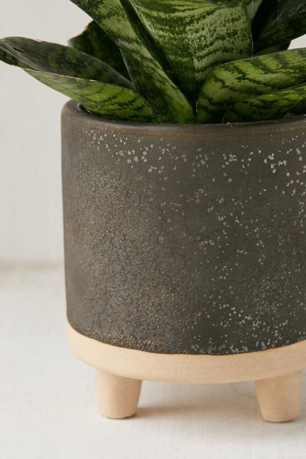 Liv 5” Footed Planter | Urban Outfitters (US and RoW)