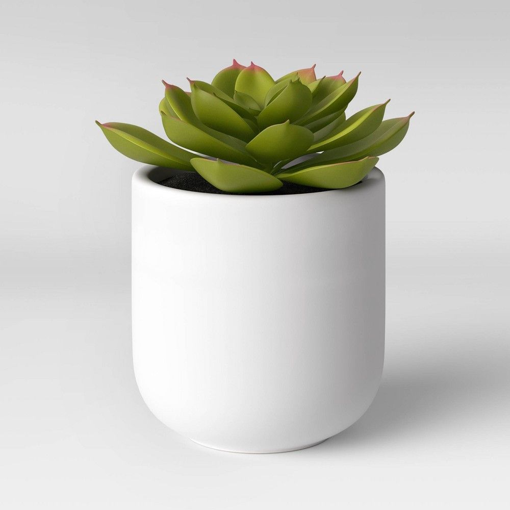 Small Succulent in Ceramic Pot - Threshold | Target