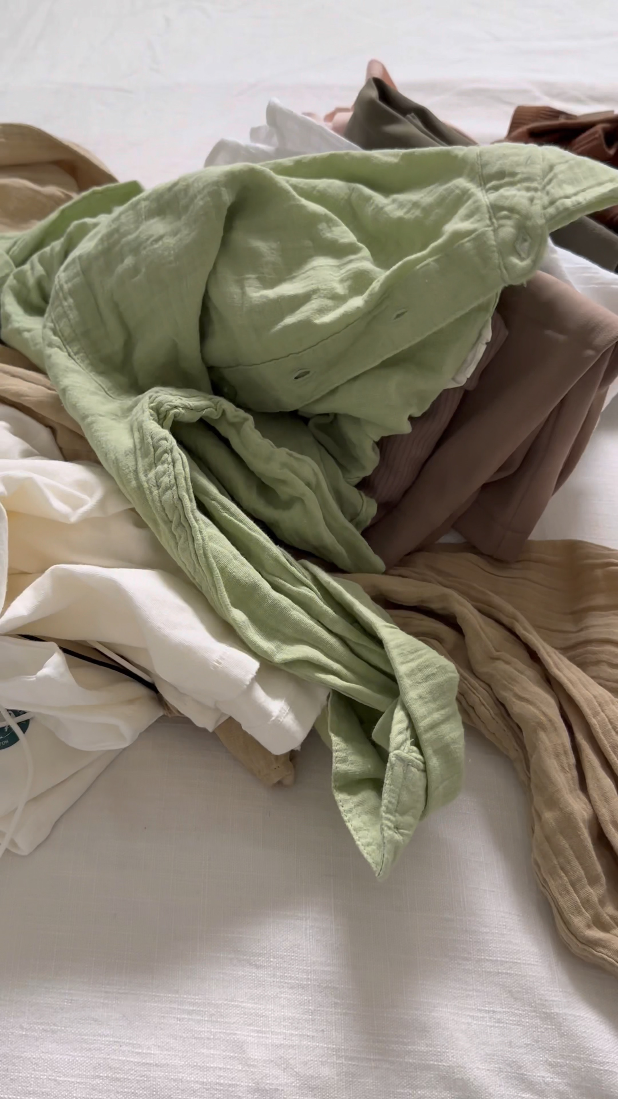 Aéropostale basics  

#LTKunder50 #LTKsalealert #LTKBacktoSchool